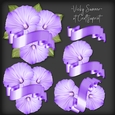 Purple Flower and Banner Cluster