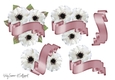 Anemone and Banner JPG 2