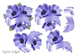 Anemone and Banner JPG