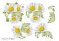 Daisy and Banner JPG