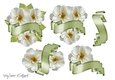 Dogwood Rose and Banner JPG