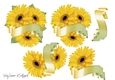 Gerbera and Banner JPG 2