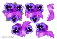 Pansy and Banner JPG