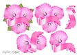 Pink Flower and Banner JPG