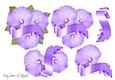 Purple Flower and Banner JPG