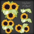 Sunflower and Banner Cluster