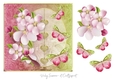 Cherry Blossom 1