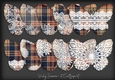 Tartan and Lace Butterfly