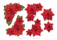 Christmas Floral Step by Step 1