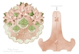 Pink and Mint Christmas Plate and Stand