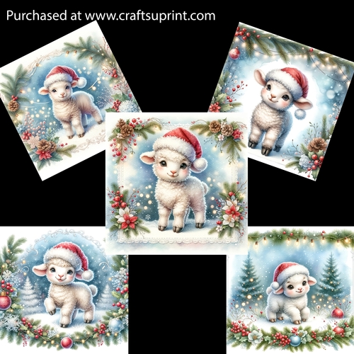 Cute Little Festive Lamb Card Fronts