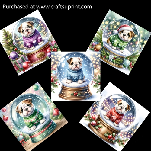 Adorable English Bulldog in a Snowglobe Card Fronts