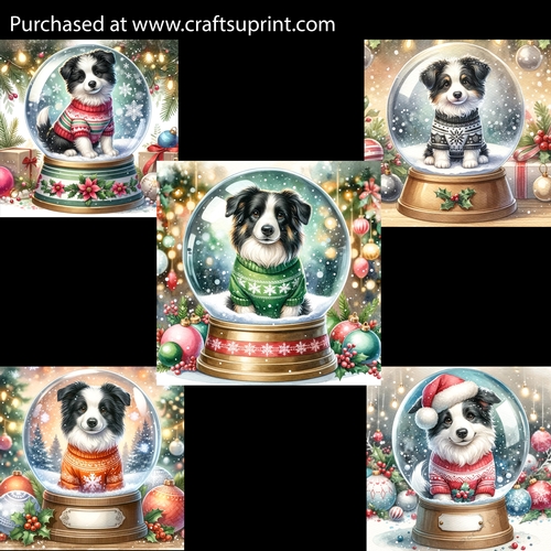  Adorable Border Collie in a Snowglobe Card Fronts