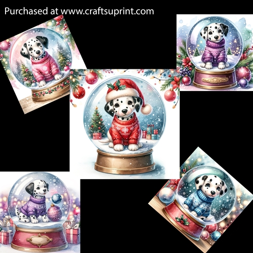 Beautiful Dalmatian in a Snowglobe Card Fronts