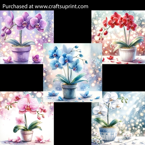 Elegant Orchid Card Fronts