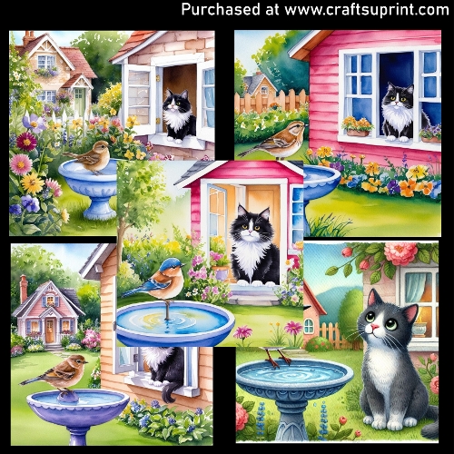 Tuxedo cat and bird