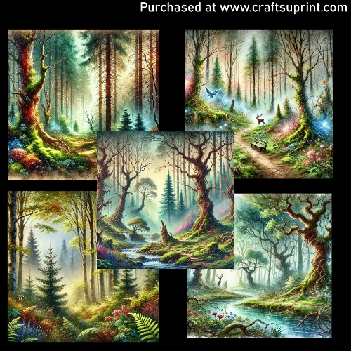 Enchanted forest