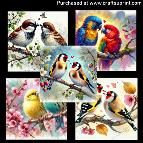 Love birds
