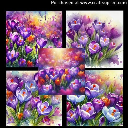 Spring flowers - Crocus - CARD FRONTS