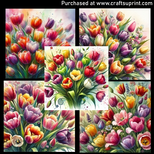 Spring flowers - Tulips