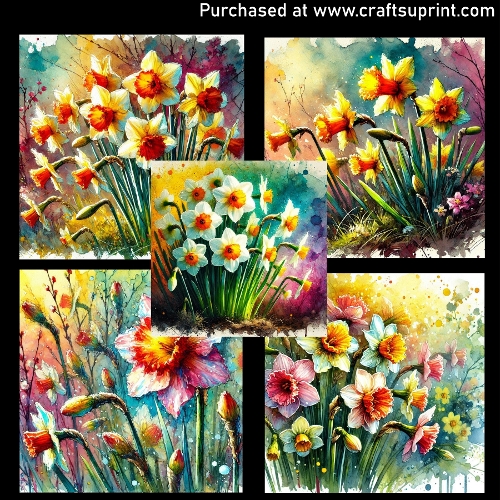 Spring flowers - Daffodils