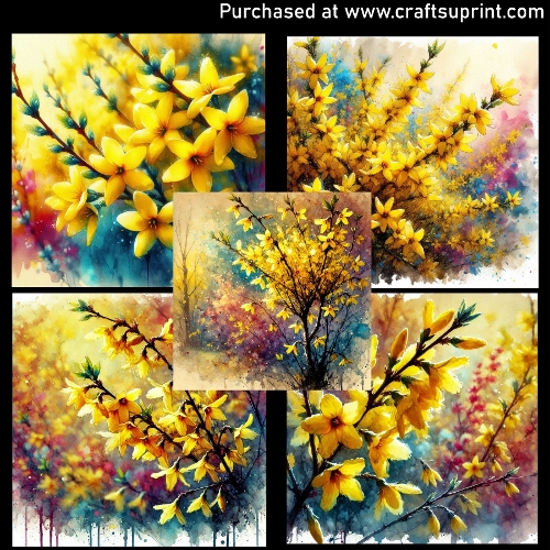 Spring flowers - Forsythia