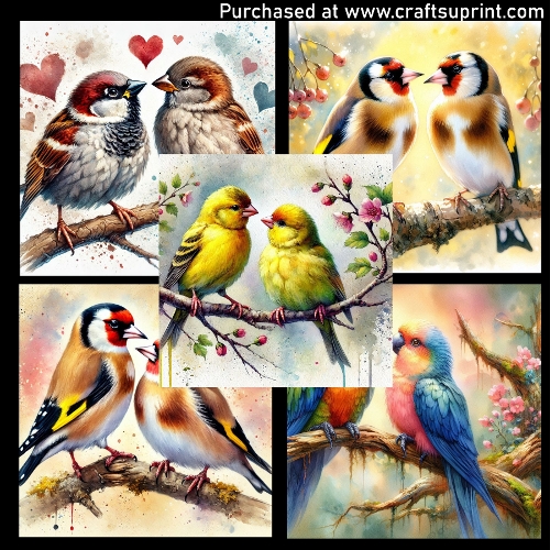Love birds 2 - CARD FRONTS