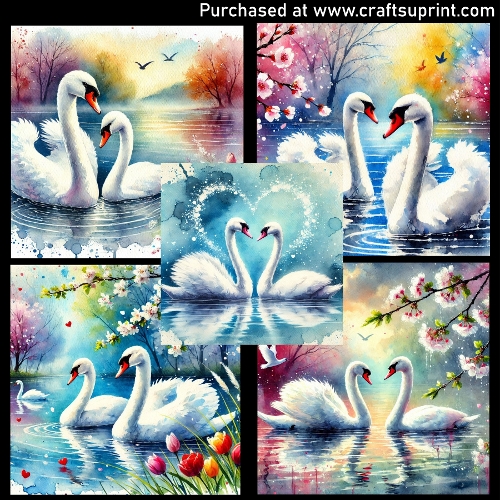 Swans