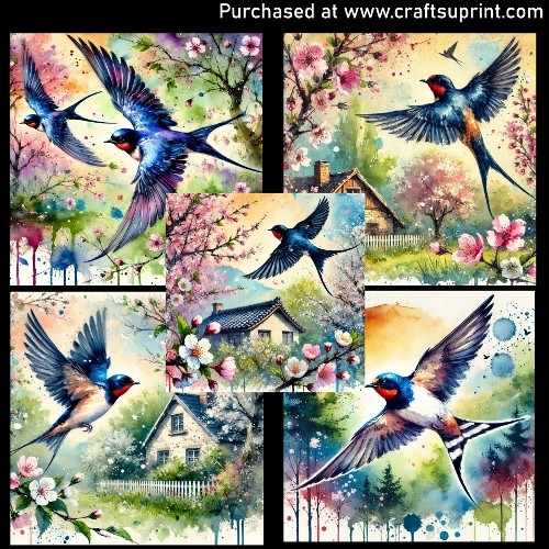 Swallows
