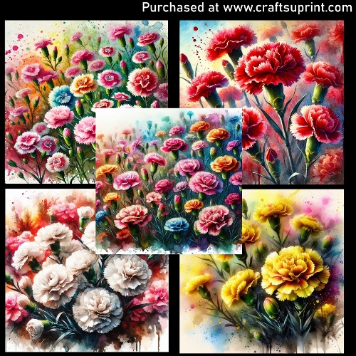 Spring flower - Carnations
