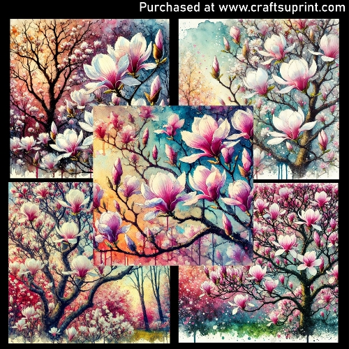 Spring flowers - Magnolia 