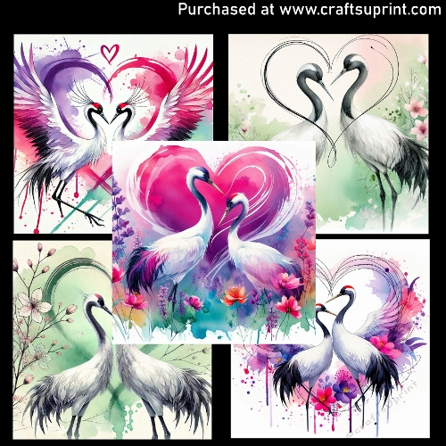 Cranes 