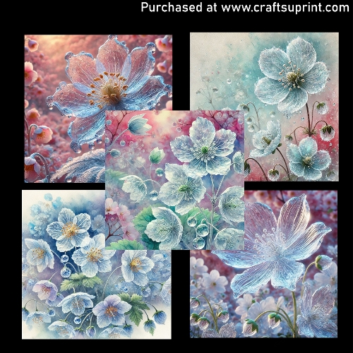 Spring flowers - Ice flower - Diphylleia