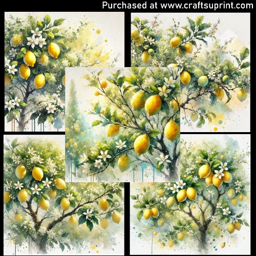 Lemon tree - CARD FRONTS