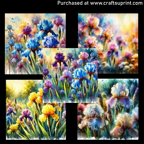 Spring flowers - Iris - CARD FRONTS 