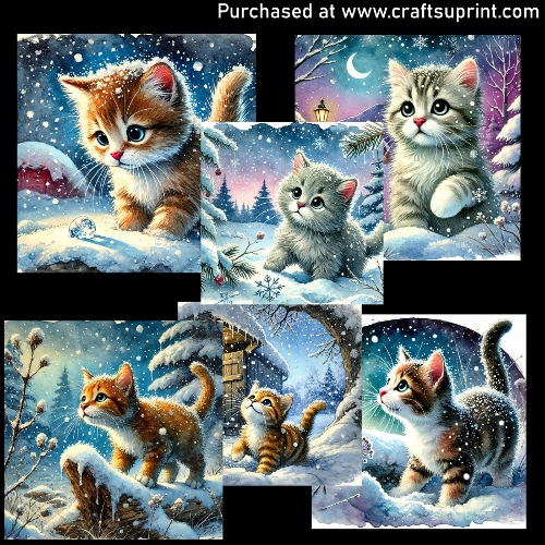 Kittens playing in the snow - CARD FRONTS