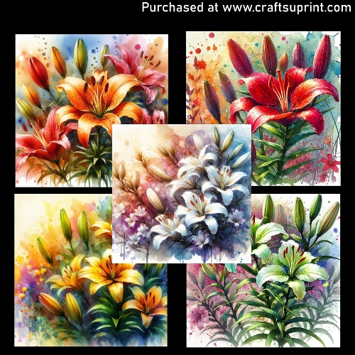 Spring flowers - Lily - CARD FRONTS