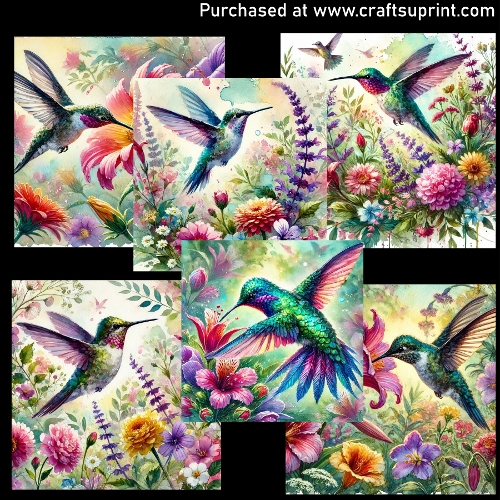 Hummingbird - CARD FRONTS