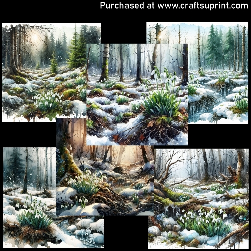 Snowdrops in the forest - CARD FRONTS