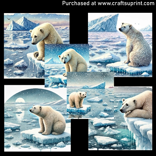 The ice is melting - CARD FRONTS