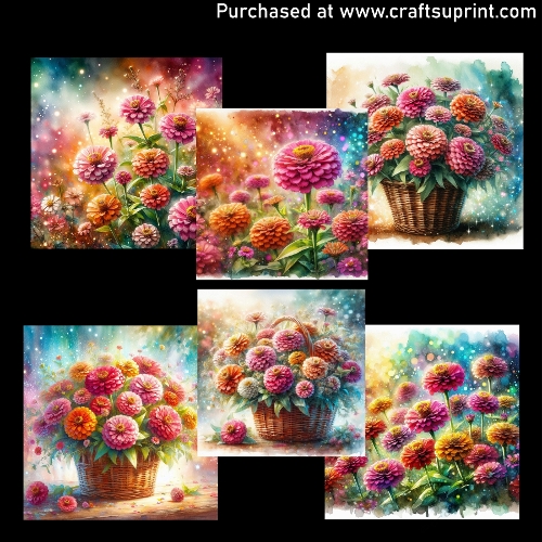 Flowers - Zinnia - CARD FRONTS
