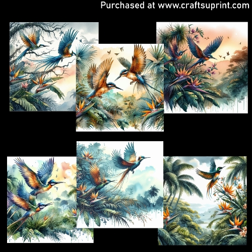 Jungle birds - CARD FRONTS