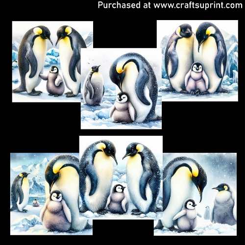 Penguin Family - CARD FRONTS