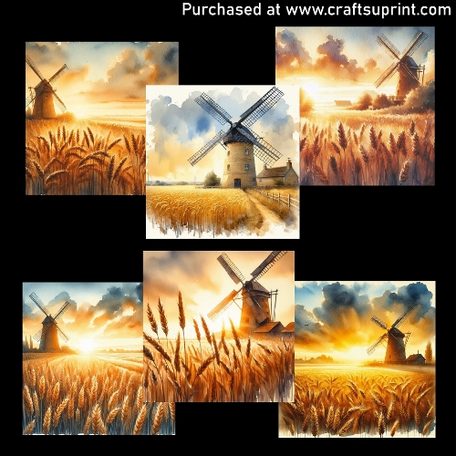 Fields of gold - CARD FRONTS