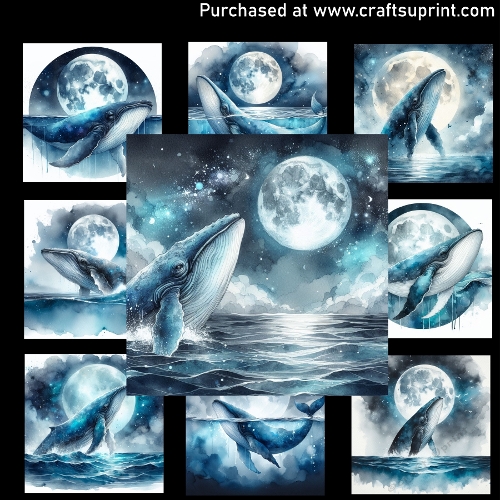 The Whale and the Moon - CARD FRONTS