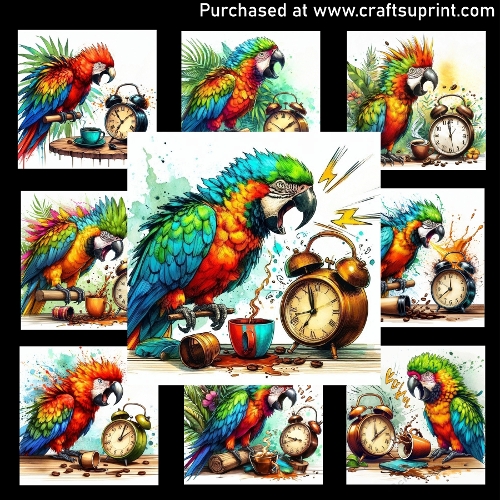 The Parrot And The Clock - CARD FRONTS