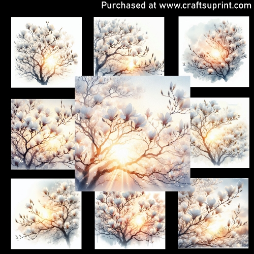 Blossoming White Magnolia - CARD FRONTS