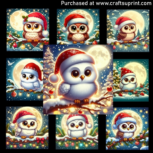 Owl on a Snowy Branch - CARD FRONTS