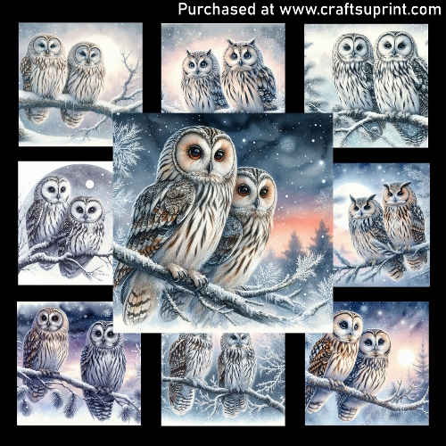 Owls on a frosty branch 