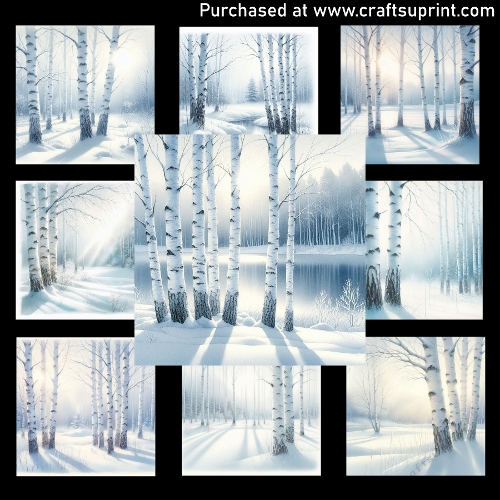 Birch tree in winter time - CARD FRONTS